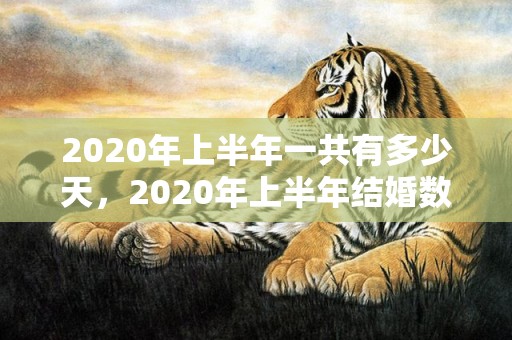 2020年上半年一共有多少天，2020年上半年结婚数据查询