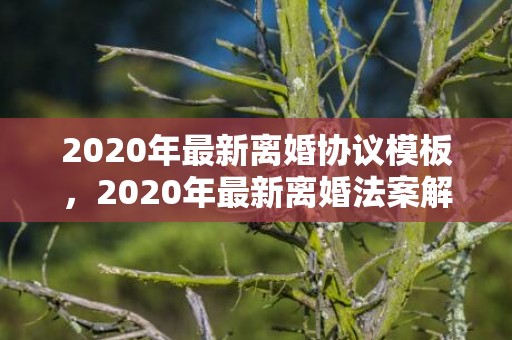 2020年最新离婚协议模板，2020年最新离婚法案解读