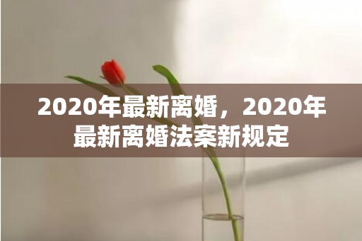 2020年最新离婚，2020年最新离婚法案新规定