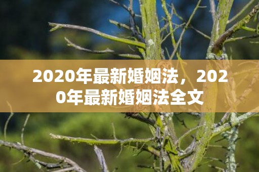 2020年最新婚姻法，2020年最新婚姻法全文