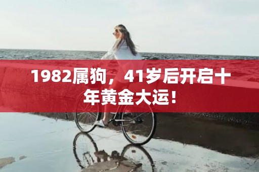 1982属狗，41岁后开启十年黄金大运！