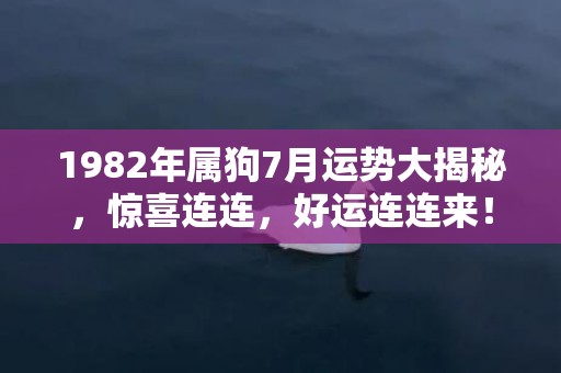 1982年属狗7月运势大揭秘，惊喜连连，好运连连来！