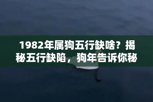 1982年属狗五行缺啥？揭秘五行缺陷，狗年告诉你秘密