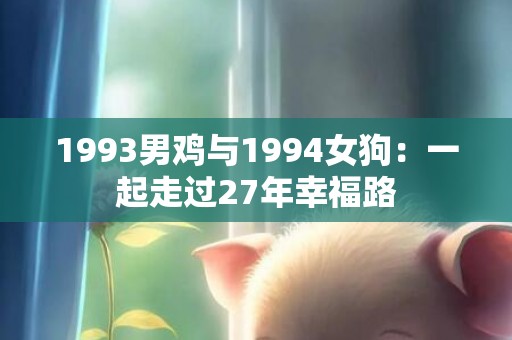 1993男鸡与1994女狗：一起走过27年幸福路