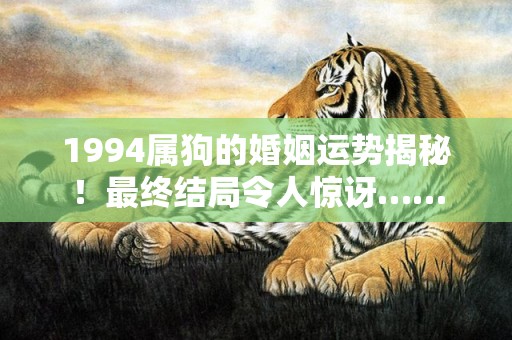 1994属狗的婚姻运势揭秘！最终结局令人惊讶……