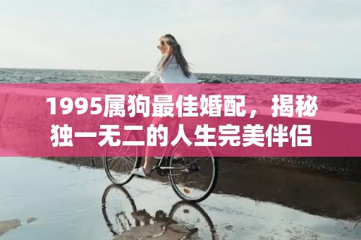 1995属狗最佳婚配，揭秘独一无二的人生完美伴侣
