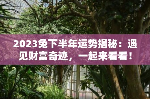 2023兔下半年运势揭秘：遇见财富奇迹，一起来看看！
