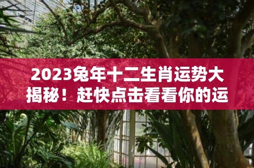 2023兔年十二生肖运势大揭秘！赶快点击看看你的运势如何解锁财富！