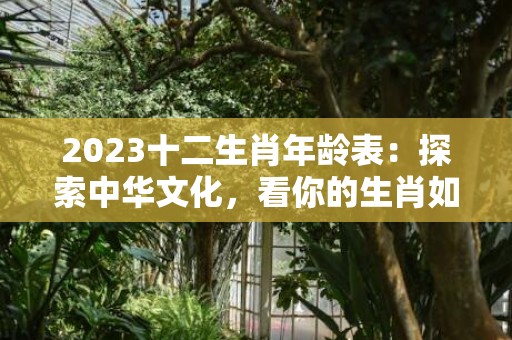 2023十二生肖年龄表：探索中华文化，看你的生肖如何映照现实世界！