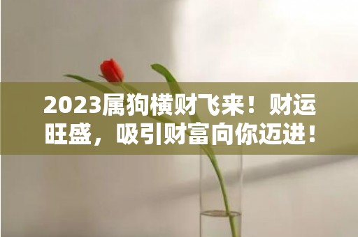2023属狗横财飞来！财运旺盛，吸引财富向你迈进！