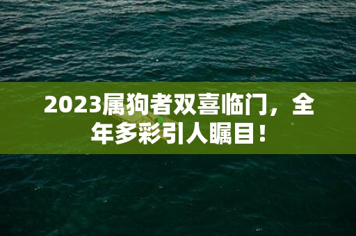 2023属狗者双喜临门，全年多彩引人瞩目！