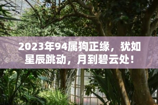 2023年94属狗正缘，犹如星辰跳动，月到碧云处！