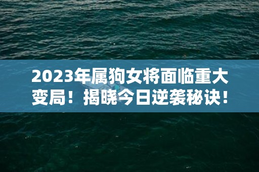 2023年属狗女将面临重大变局！揭晓今日逆袭秘诀！