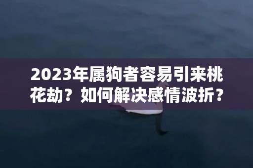 2023年属狗者容易引来桃花劫？如何解决感情波折？