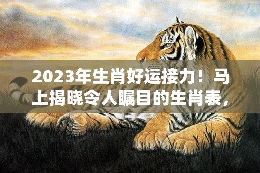 2023年生肖好运接力！马上揭晓令人瞩目的生肖表，谁将成为头号宠儿？