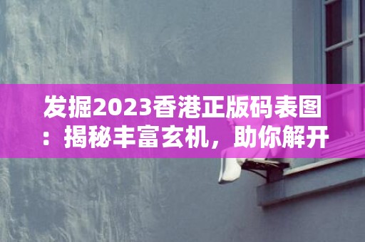 发掘2023香港正版码表图：揭秘丰富玄机，助你解开幸运密码！