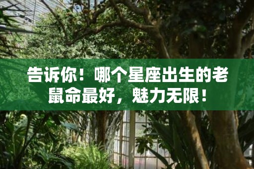 告诉你！哪个星座出生的老鼠命最好，魅力无限！
