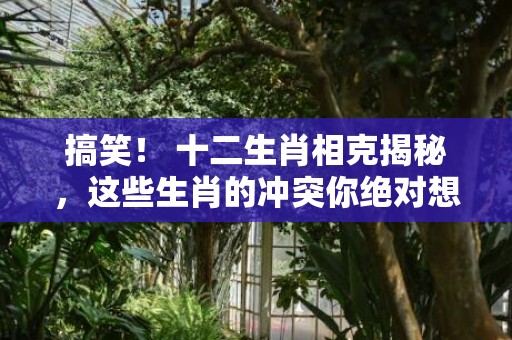 搞笑！ 十二生肖相克揭秘，这些生肖的冲突你绝对想不到！