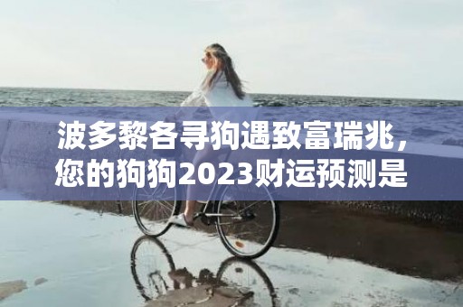 波多黎各寻狗遇致富瑞兆，您的狗狗2023财运预测是？