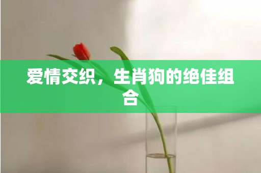 爱情交织，生肖狗的绝佳组合