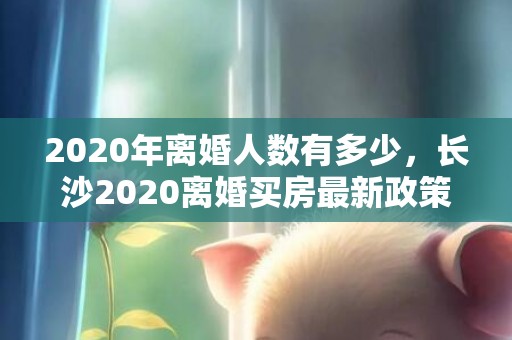 2020年离婚人数有多少，长沙2020离婚买房最新政策解读