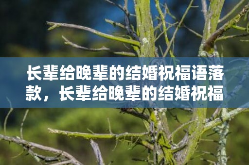 长辈给晚辈的结婚祝福语落款，长辈给晚辈的结婚祝福语落款写什么好