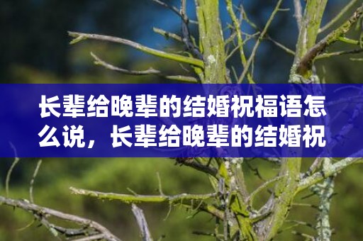 长辈给晚辈的结婚祝福语怎么说，长辈给晚辈的结婚祝福语怎么写呢英语