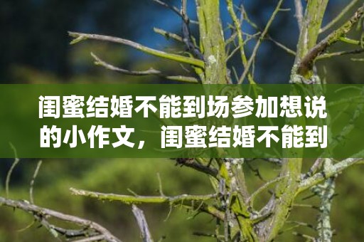 闺蜜结婚不能到场参加想说的小作文，闺蜜结婚不能到场送什么礼物