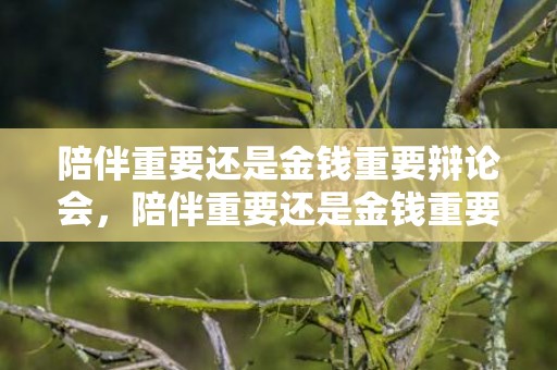 陪伴重要还是金钱重要辩论会，陪伴重要还是金钱重要