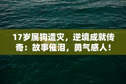 17岁属狗遭灾，逆境成就传奇：故事催泪，勇气感人！