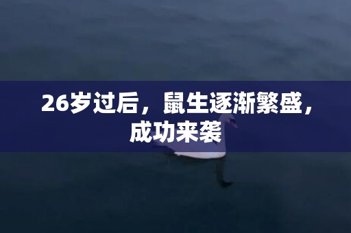 26岁过后，鼠生逐渐繁盛，成功来袭