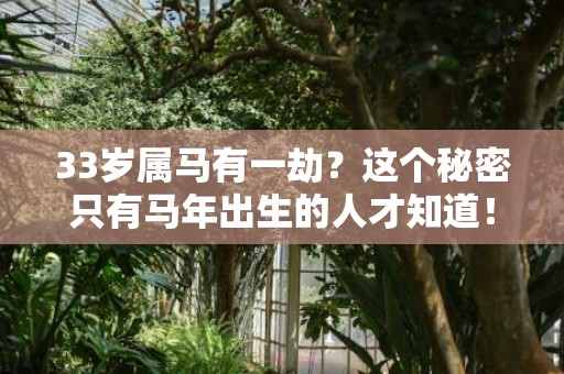 33岁属马有一劫？这个秘密只有马年出生的人才知道！