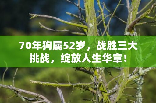 70年狗属52岁，战胜三大挑战，绽放人生华章！