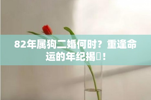 82年属狗二婚何时？重逢命运的年纪揭曉！