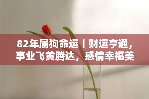 82年属狗命运丨财运亨通，事业飞黄腾达，感情幸福美满！