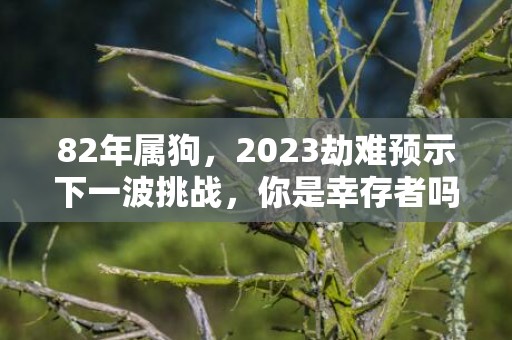 82年属狗，2023劫难预示下一波挑战，你是幸存者吗？