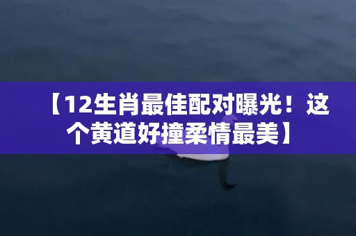 【12生肖最佳配对曝光！这个黄道好撞柔情最美】