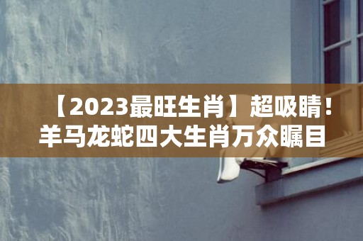 【2023最旺生肖】超吸睛！羊马龙蛇四大生肖万众瞩目！