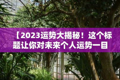 【2023运势大揭秘！这个标题让你对未来个人运势一目了然】