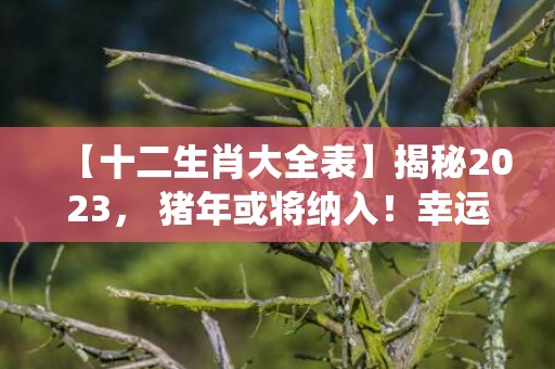 【十二生肖大全表】揭秘2023， 猪年或将纳入！幸运动物大预测除了传统十二生肖外，还有哪些惊喜？