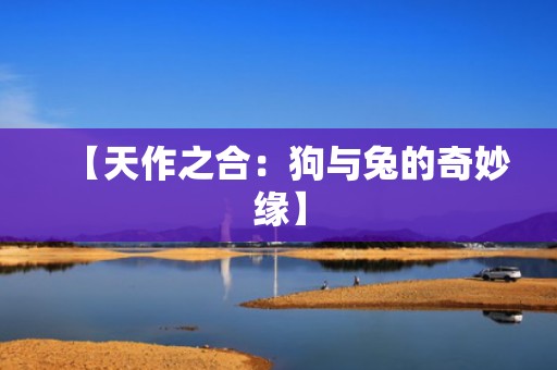 【天作之合：狗与兔的奇妙缘】