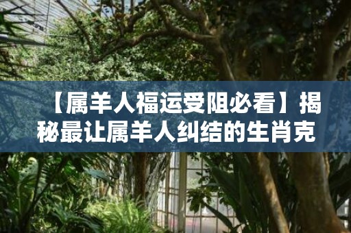 【属羊人福运受阻必看】揭秘最让属羊人纠结的生肖克星！