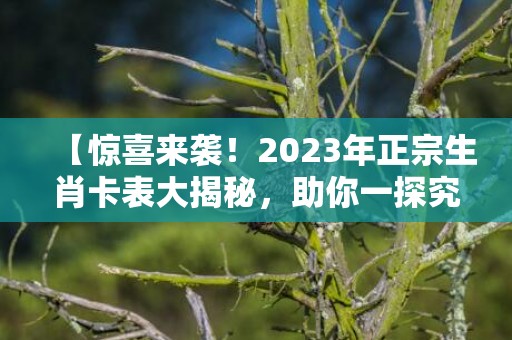 【惊喜来袭！2023年正宗生肖卡表大揭秘，助你一探究竟】