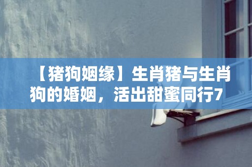 【猪狗姻缘】生肖猪与生肖狗的婚姻，活出甜蜜同行70载！