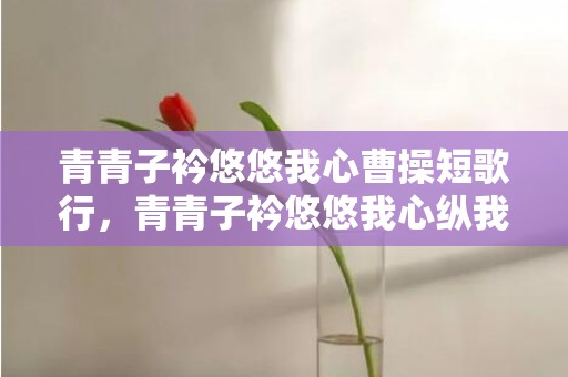 青青子衿悠悠我心曹操短歌行，青青子衿悠悠我心纵我不往子宁不嗣音嗣音的意思是