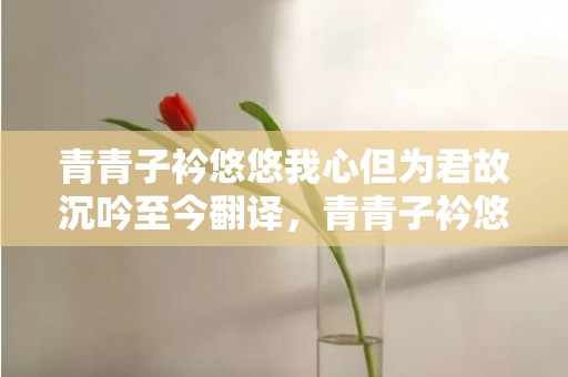 青青子衿悠悠我心但为君故沉吟至今翻译，青青子衿悠悠我心纵我不往子宁不嗣音嗣音什么意思