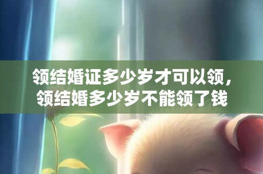 领结婚证多少岁才可以领，领结婚多少岁不能领了钱
