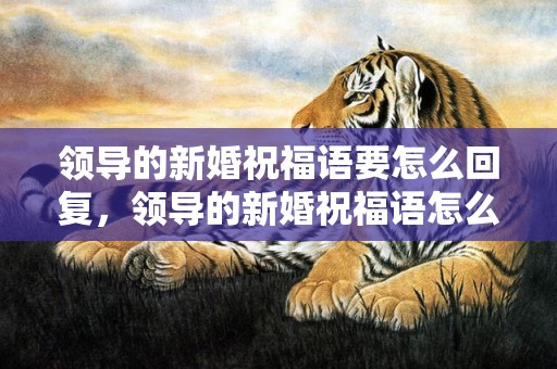 领导的新婚祝福语要怎么回复，领导的新婚祝福语怎么回复