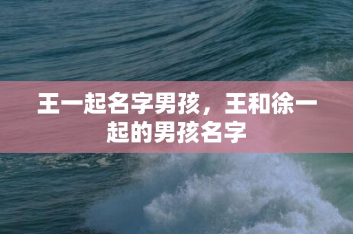 王一起名字男孩，王和徐一起的男孩名字