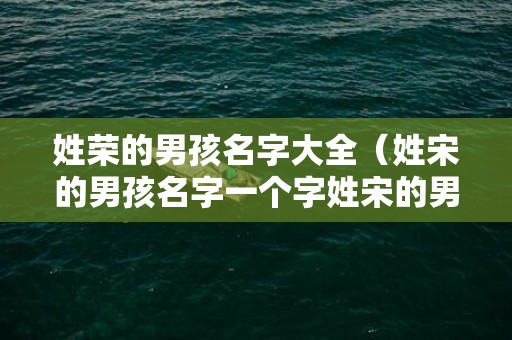 姓荣的男孩名字大全（姓宋的男孩名字一个字姓宋的男孩名字有哪些）